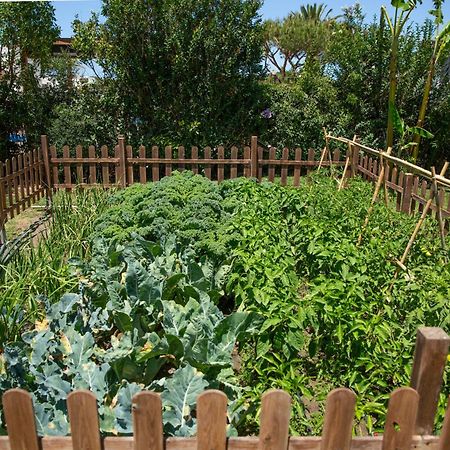 Casara Tres - 2 Dormitorios - Jardin Y Acceso Privado A La Playa Zahora Kültér fotó