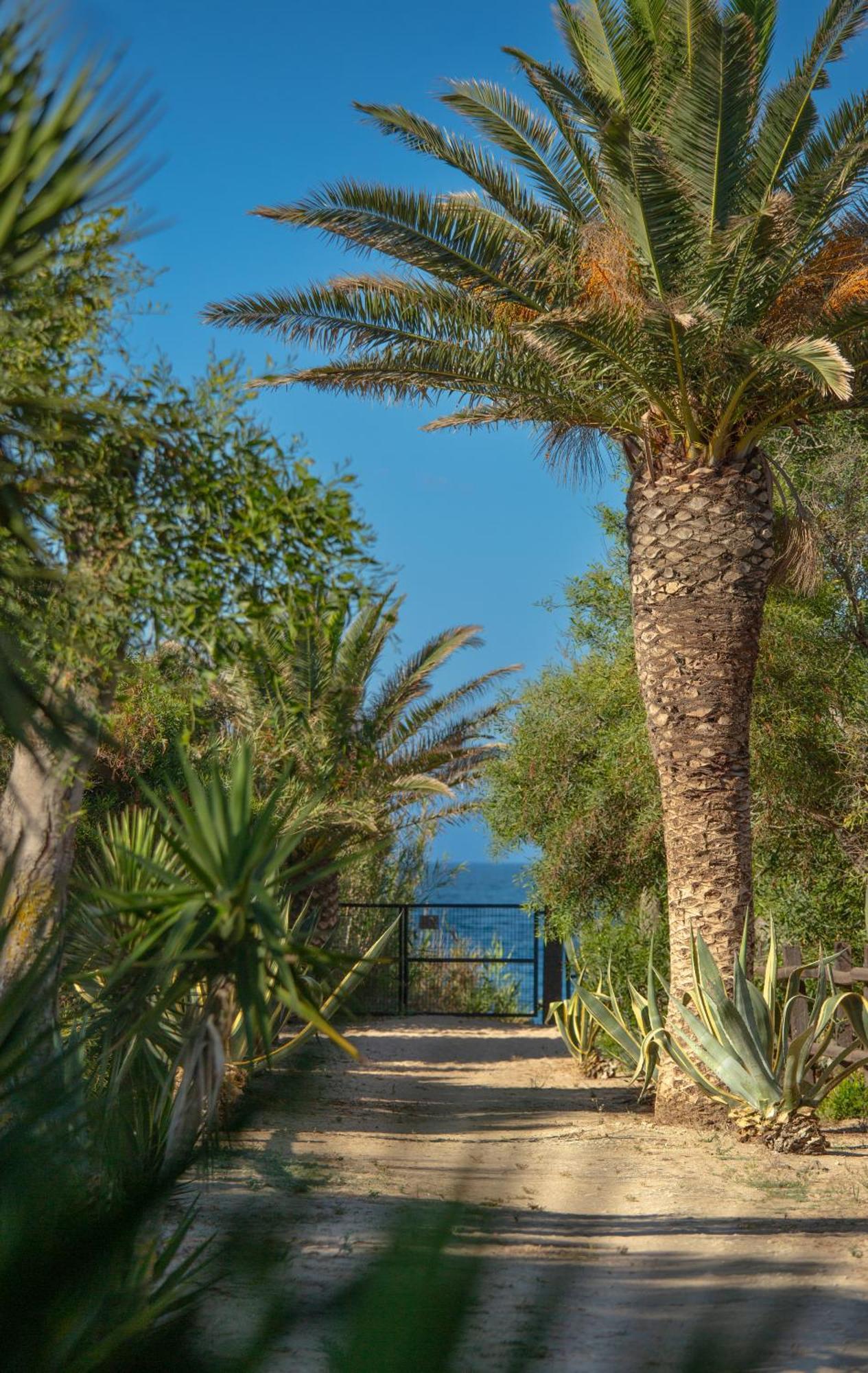 Casara Tres - 2 Dormitorios - Jardin Y Acceso Privado A La Playa Zahora Kültér fotó